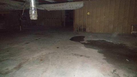 Gemini No More - 20161016_132645.jpg