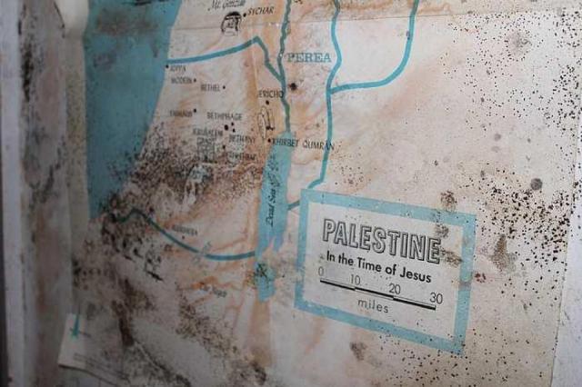 Come On In - IMG_4426.jpg