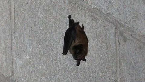 Stinson School photo 3