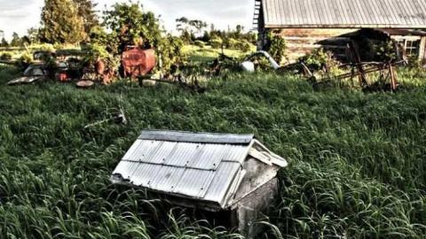 Photo from Bury's Green