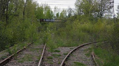 Bridge Second Time Around - Prince-of-Wales-Bridge51.jpg