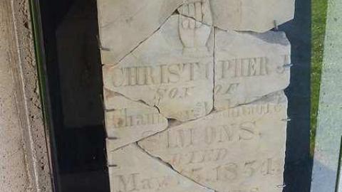 Photo from New look.