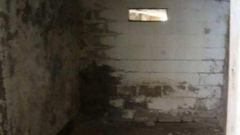 Fall 2010 - 66969_10150267971090504_505805503_15109587_1528993_n.jpg