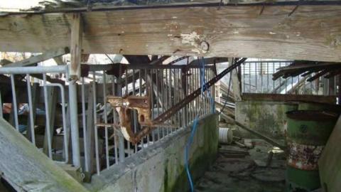 Fall 2010 - 67443_10150267971450504_505805503_15109597_4666085_n.jpg