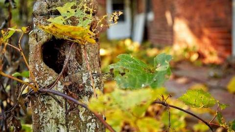 Autumn House - RussellChristie-House181.jpg