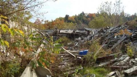 Fall 2010 - 68440_10150267970470504_505805503_15109571_5190613_n.jpg