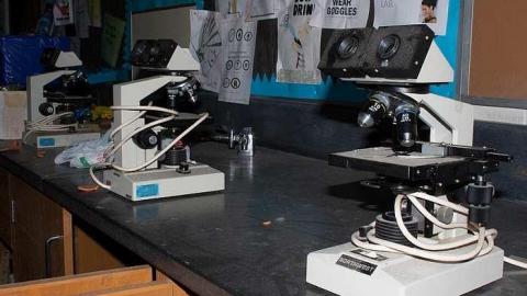 2016 - Bishop-Ryan-High-School24.jpg