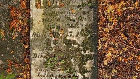 A Co-Pilot/Sentry Find - Forest-Lawn-Pioneer-Cemetery14.jpg