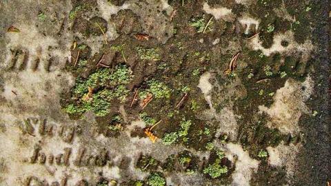 A Co-Pilot/Sentry Find - Forest-Lawn-Pioneer-Cemetery15.jpg