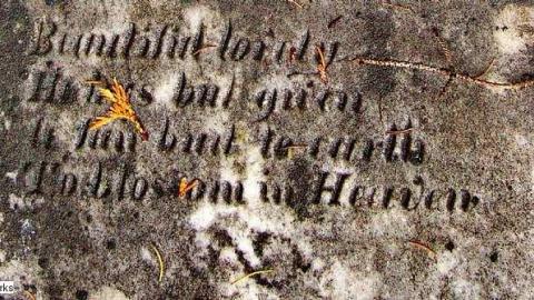 A Co-Pilot/Sentry Find - Forest-Lawn-Pioneer-Cemetery17.jpg