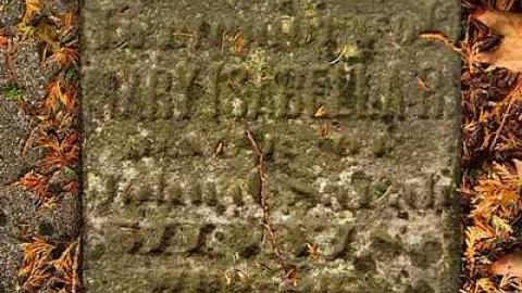 A Co-Pilot/Sentry Find - Forest-Lawn-Pioneer-Cemetery18.jpg