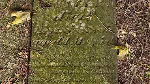 A Co-Pilot/Sentry Find - Forest-Lawn-Pioneer-Cemetery19.jpg