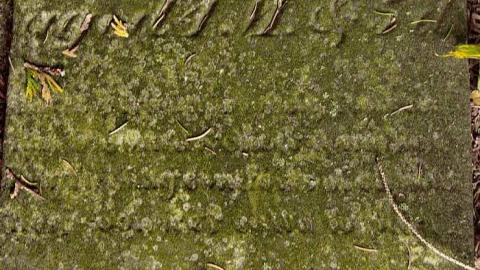 A Co-Pilot/Sentry Find - Forest-Lawn-Pioneer-Cemetery2.jpg