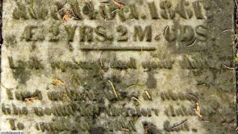 A Co-Pilot/Sentry Find - Forest-Lawn-Pioneer-Cemetery3.jpg