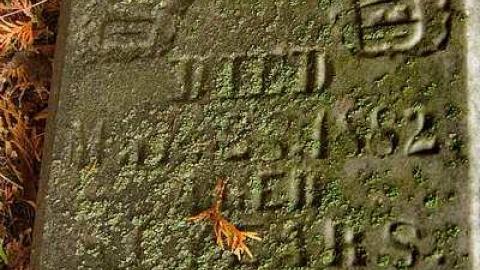 A Co-Pilot/Sentry Find - Forest-Lawn-Pioneer-Cemetery6.jpg