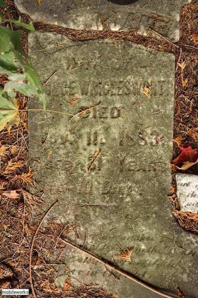 Forest Lawn Pioneer Cemetery photo 4