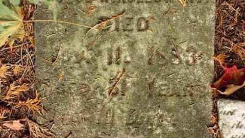 Photo from A Co-Pilot/Sentry Find