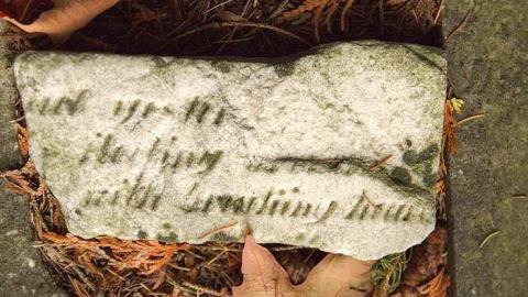 Photo from A Co-Pilot/Sentry Find