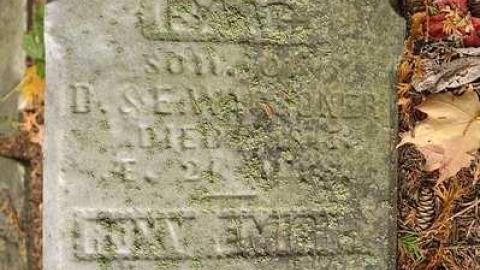 Photo from A Co-Pilot/Sentry Find