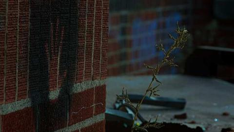 Photo from The Last Adventure