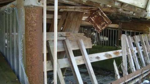 Fall 2010 Part 2 - 69059_10150267971990504_505805503_15109605_4221850_n.jpg