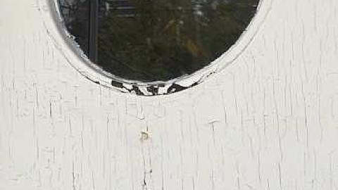 Photo from October 2016