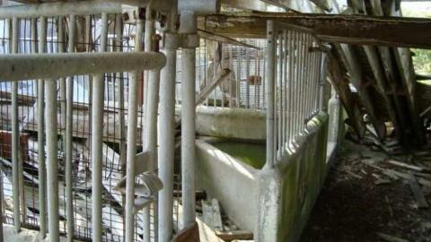 Fall 2010 Part 2 - 69059_10150267972000504_505805503_15109607_3828165_n.jpg