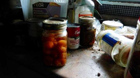 Red Necks - P1090600.jpg