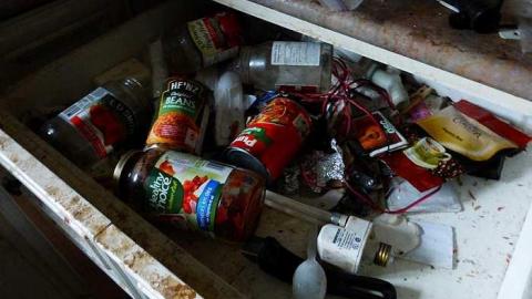 Red Necks - P1090601.jpg