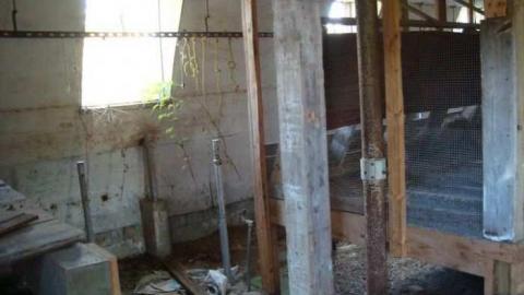 Fall 2010 Part 2 - 69059_10150267972010504_505805503_15109609_5814161_n.jpg