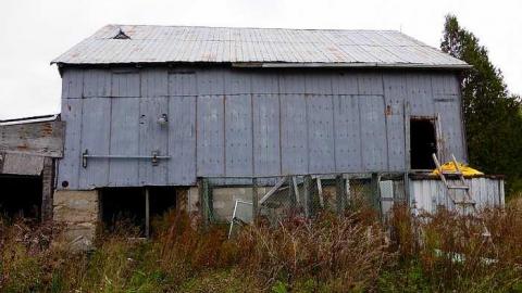 Red Necks - P1090606.jpg