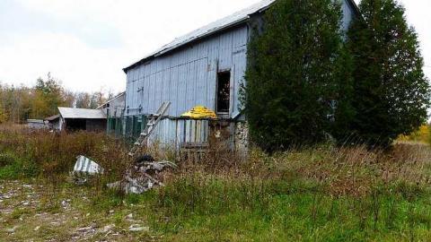 Red Necks - P1090611.jpg