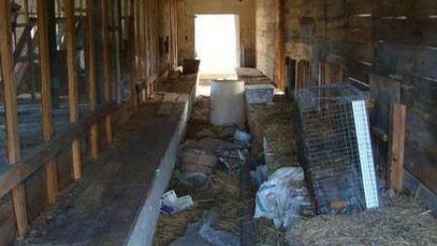 Fall 2010 Part 2 - 69059_10150267972015504_505805503_15109610_5905226_n.jpg