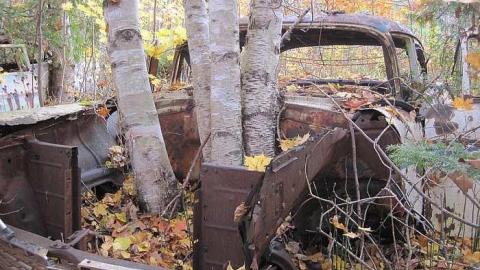 October 23, 2016 - Golden-Oldies--Four-50s-Cars34.jpg