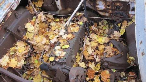 October 23, 2016 - Golden-Oldies--Four-50s-Cars23.jpg