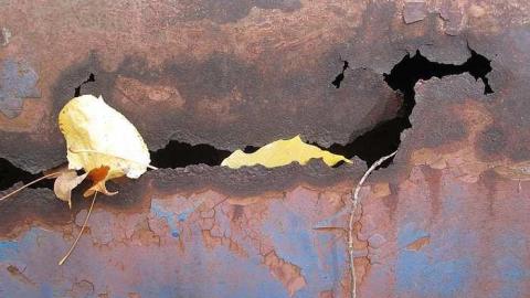 October 23, 2016 - Golden-Oldies--Four-50s-Cars2.jpg