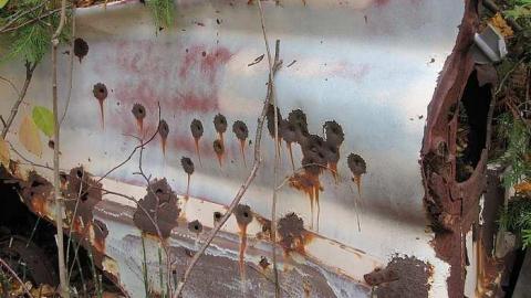 October 23, 2016 - Golden-Oldies--Four-50s-Cars4.jpg