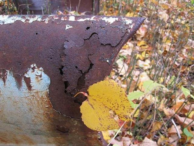 Golden Oldies - Four 50s Cars photo 5