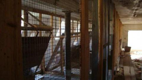 Fall 2010 Part 2 - 69330_10150267972710504_505805503_15109630_1567117_n.jpg