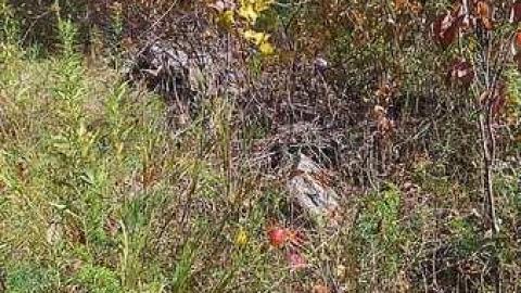 Photo from Port Foundations