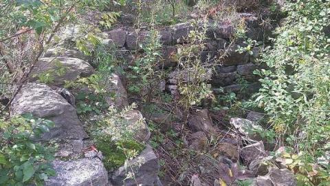 Port Foundations - Maxwells-Farm2.jpg