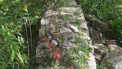 Port Foundations - Maxwells-Farm11.jpg