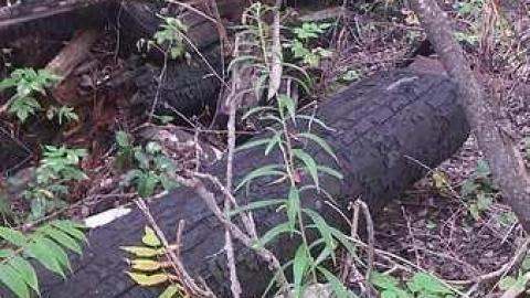 Port Foundations - Maxwells-Farm12.jpg