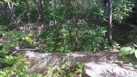 Port Foundations - Maxwells-Farm5.jpg