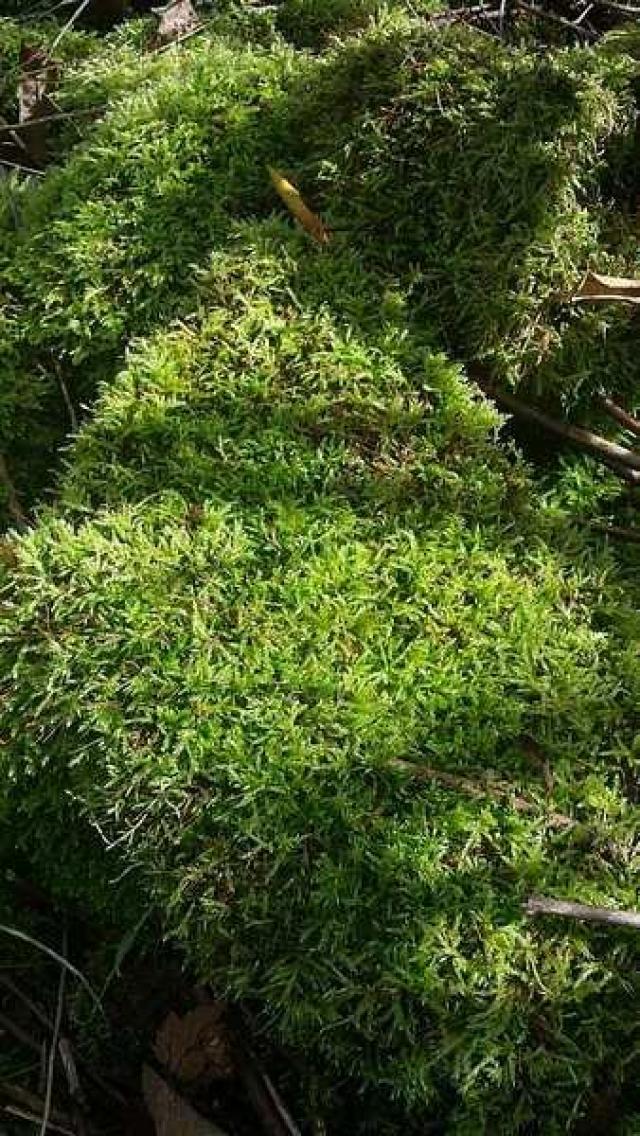 Maxwells Farm - Tay, Ontario