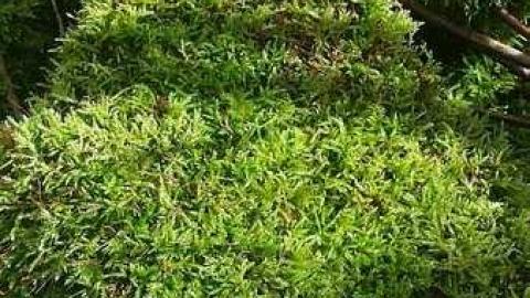 Photo from Port Foundations