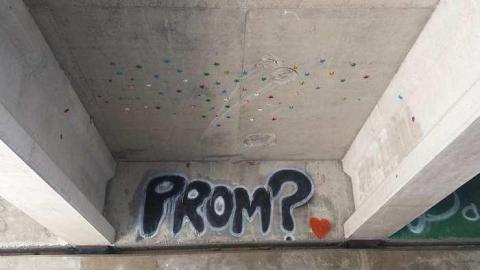 St.Marie Park photo 4