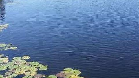 St.Marie Park - St.Marie-Park6.jpg