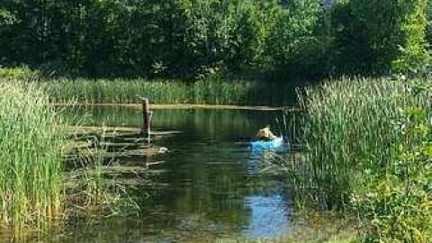 St.Marie Park - St.Marie-Park15.jpg