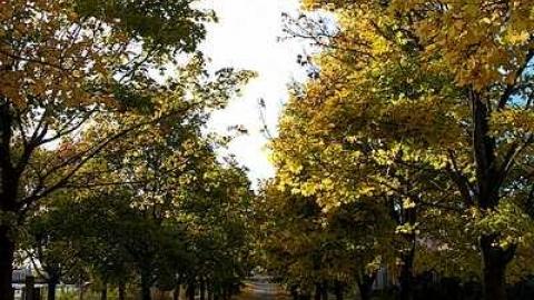 Nostalgia - Cullen-Gardens233.jpg